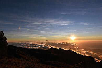 《A Silent Desolation》Steam页面上线 末世科幻探索